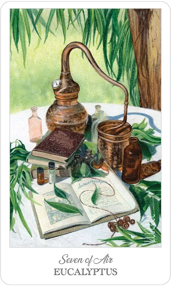 The Herbcrafter’s Tarot Cards